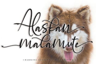 Alaskan Malamute: A Charming Handwritten Font for Brands