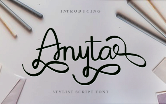 Anyta Font: A Web Designer's Review for Digital Brands