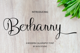 Bethanny: A Premium Handwritten Font for Campaigns