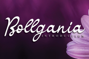 Bollgania: A Handwritten Font for Crafters