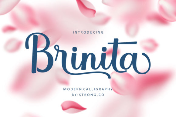 Brinita: A Premium Handwritten Font for Campaigns